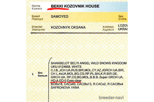 ベッキーちゃん3枚目